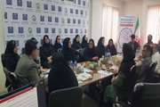 برگزاری جلسه کمیته رسا مرکز بهداشت جنوب تهران در منطقه 10 و 17